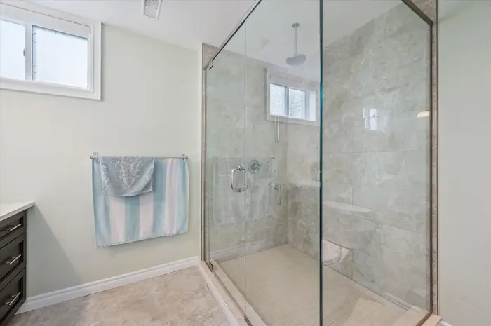 Walkout-level bathroom with frameless glass rainfall shower